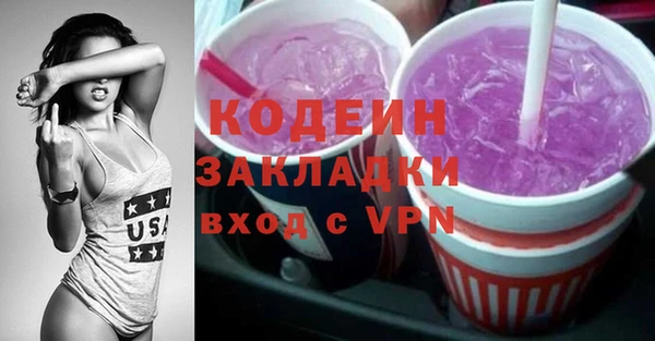 шишки Заволжск