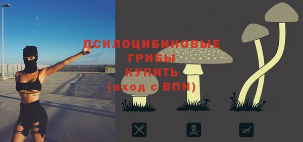 амфетамин Алексин