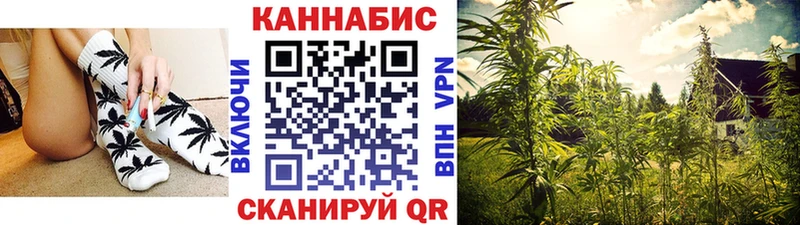 гидра tor Сим Канабис OG Kush